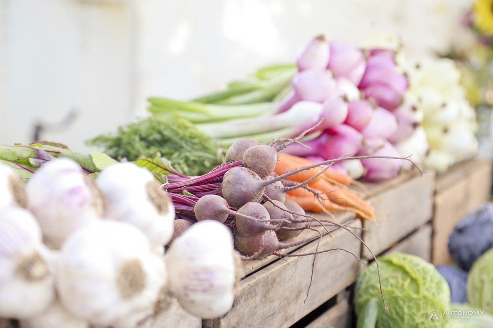 Crates of fresh garlic, radishes and greens at a farmers market stand